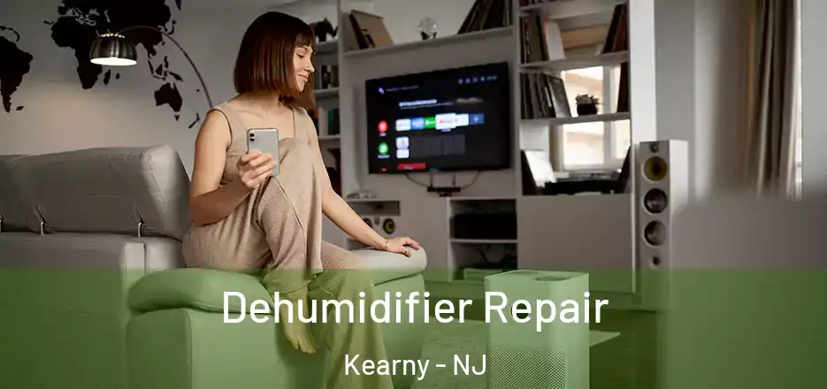  Dehumidifier Repair Kearny - NJ
