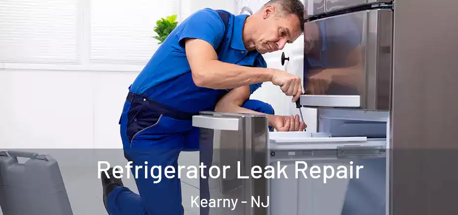 Refrigerator Leak Repair Kearny - NJ